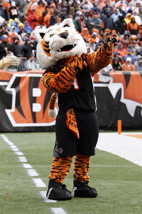 The Call of the Wild: The Roaring Success of Jungle Cat Mascots in College Athletics